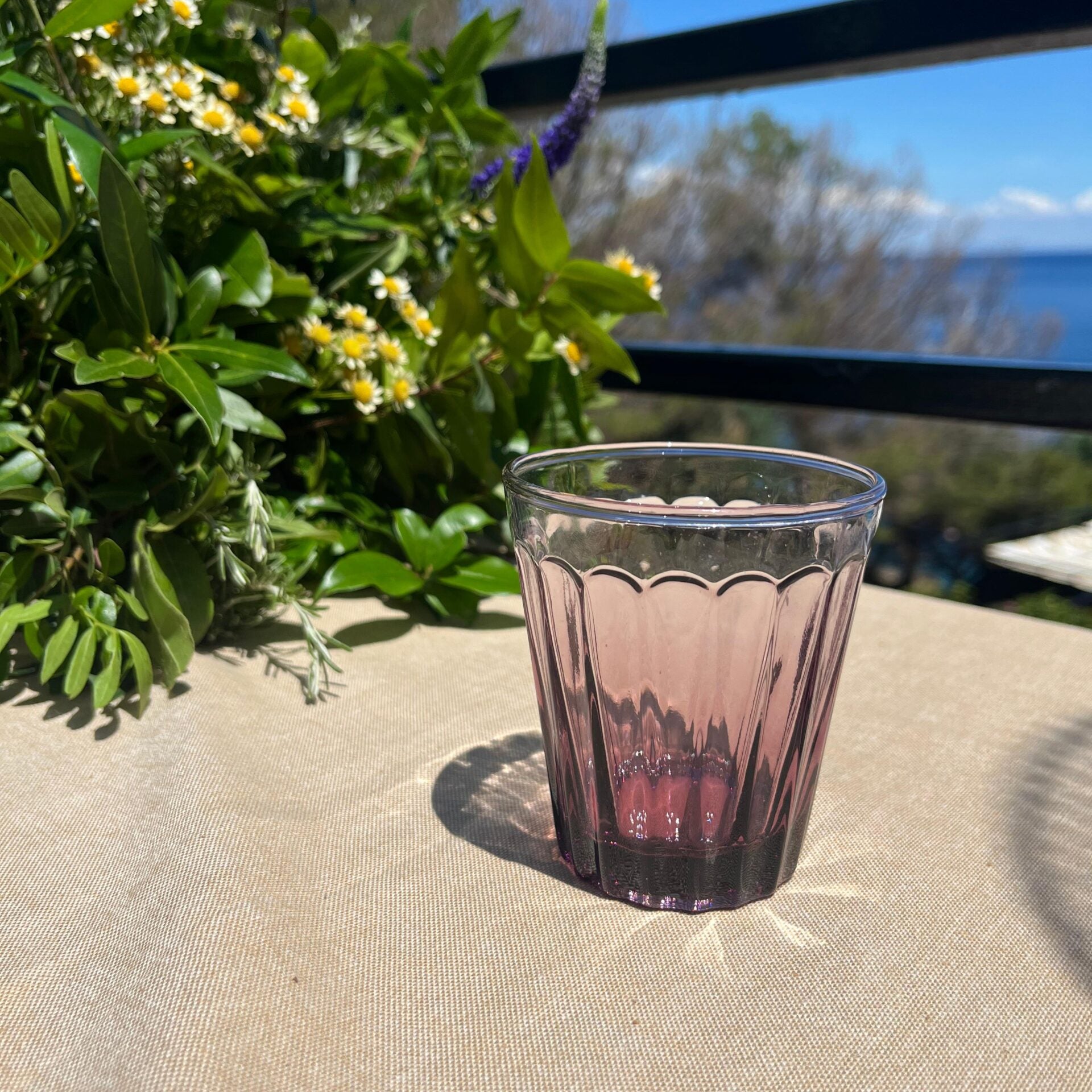 Bitossi Home Set of 6 Tumblers Wisteria