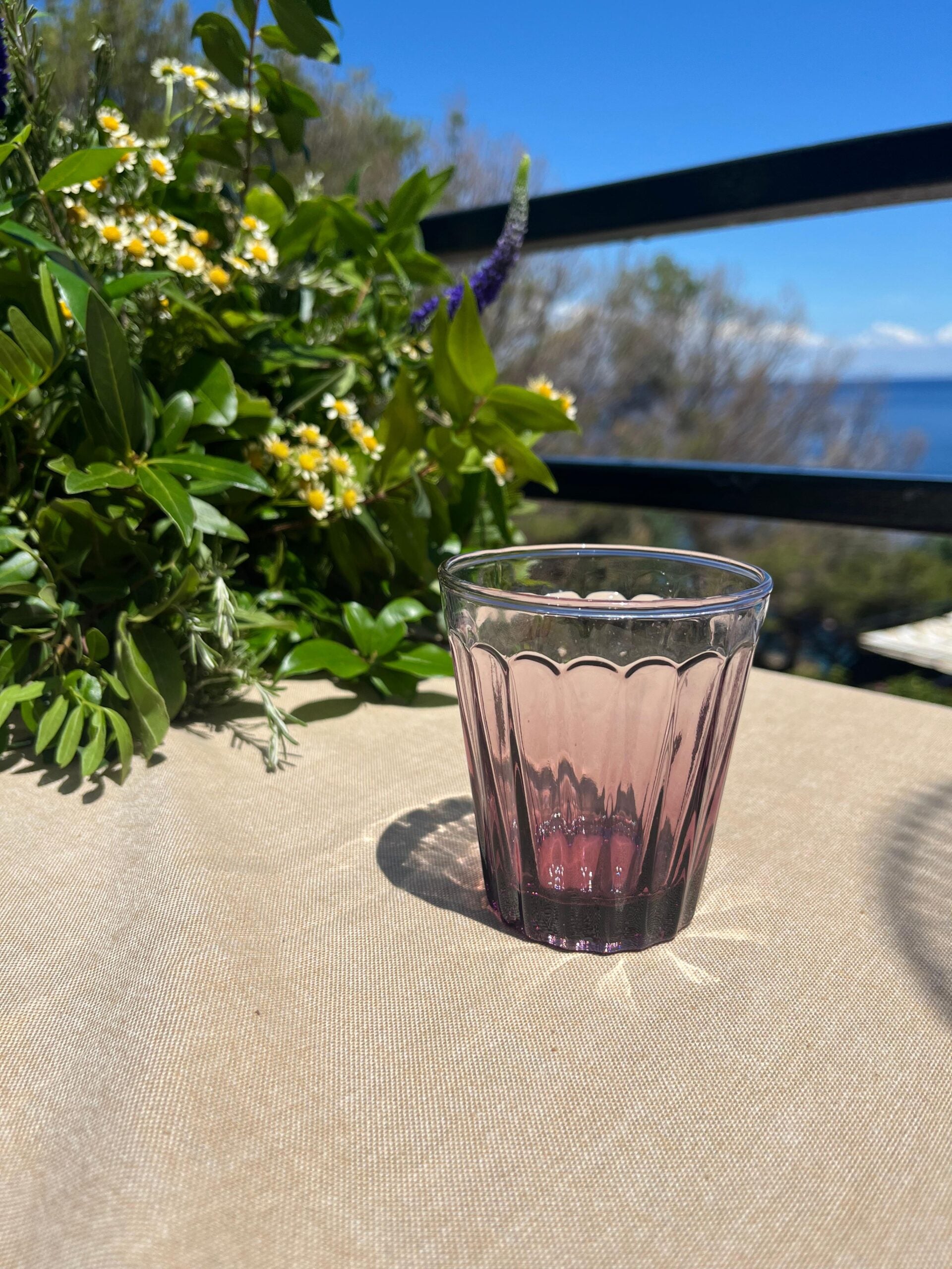 Bitossi Home Set of 6 Tumblers Wisteria