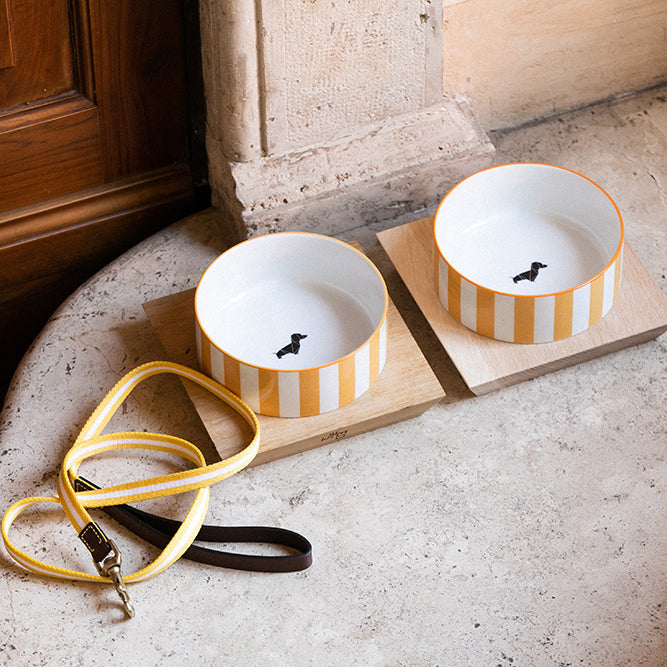ISSIMO X Poldo Yellow Portofino Leash