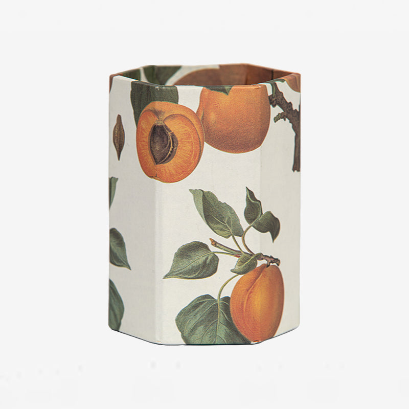 ISSIMO x Choosing Keeping Apricots Pen Pot