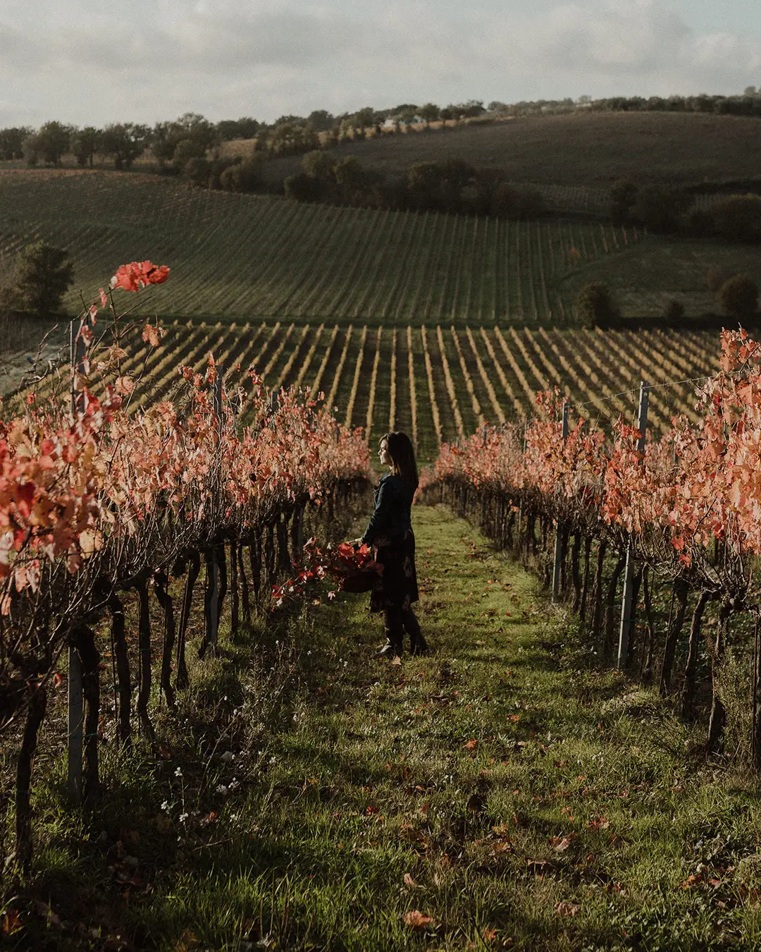ISSIMO x Women in Wine: Ilaria Cocco