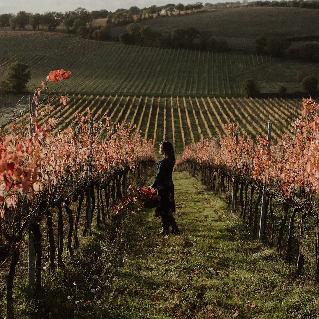 ISSIMO x Women in Wine: Ilaria Cocco