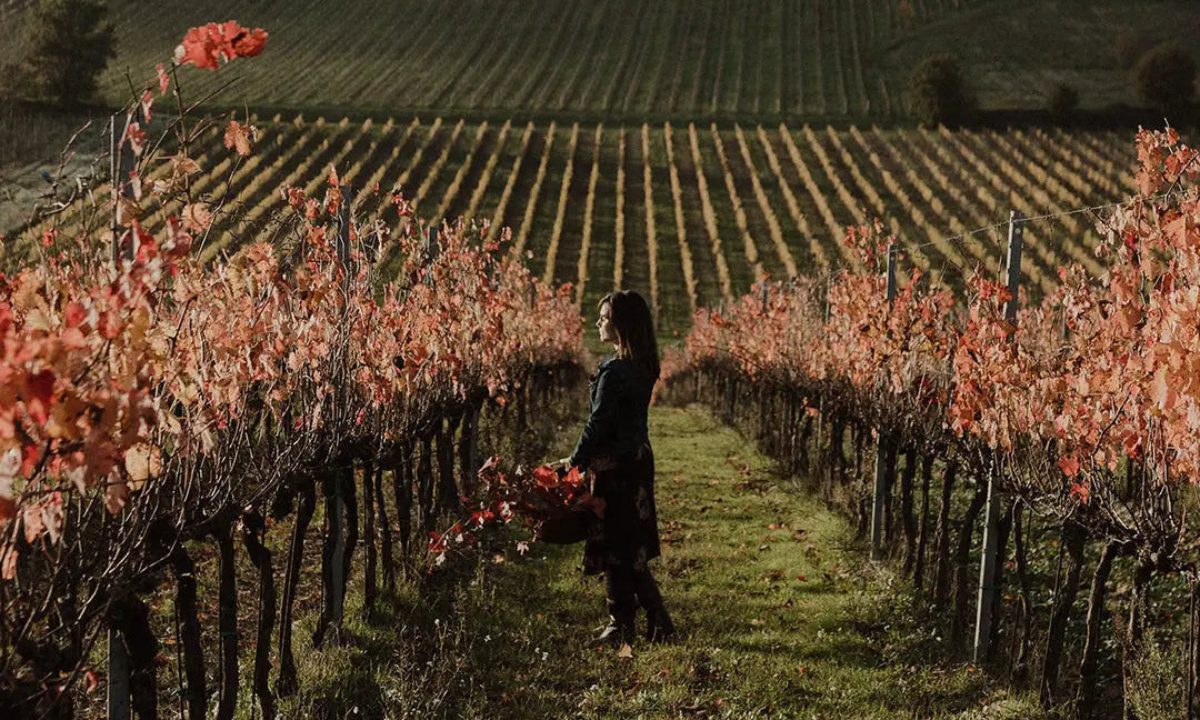 ISSIMO x Women in Wine: Ilaria Cocco