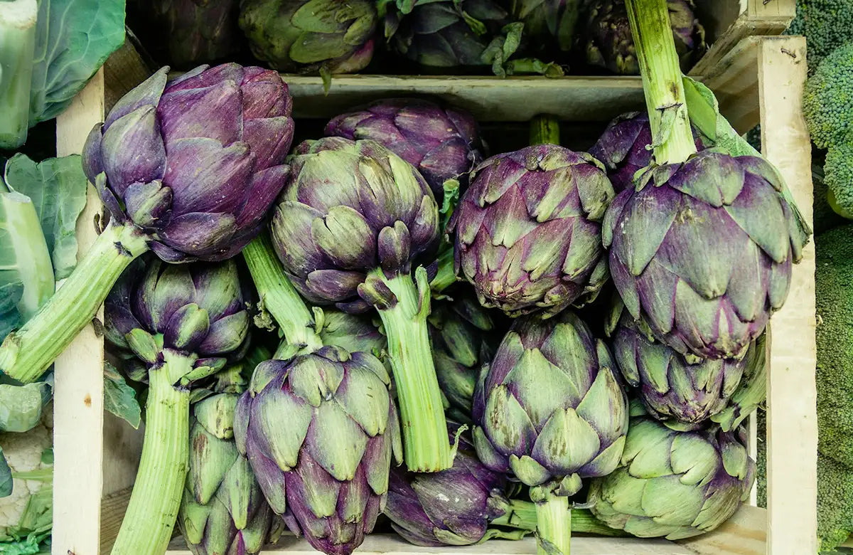 Long Live the Artichoke