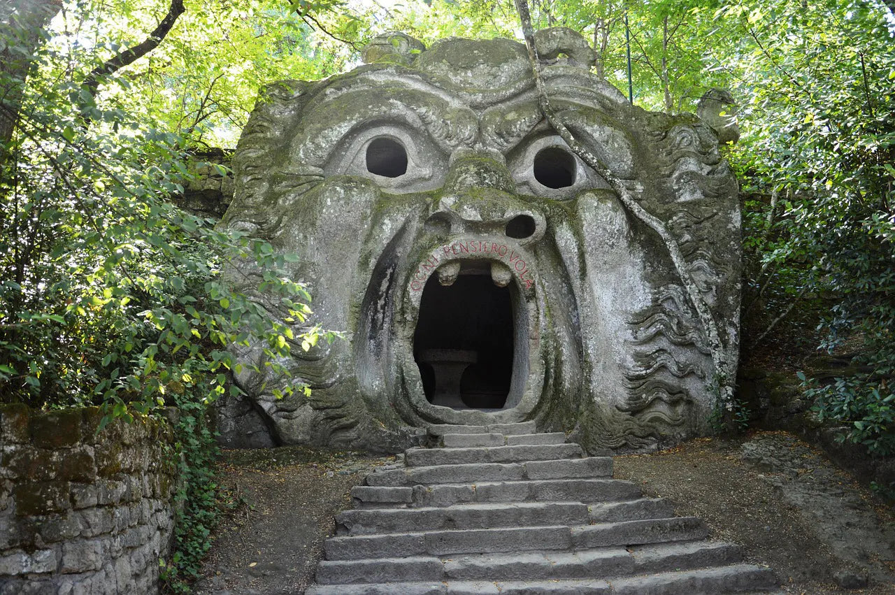 Where Wonder Takes Root