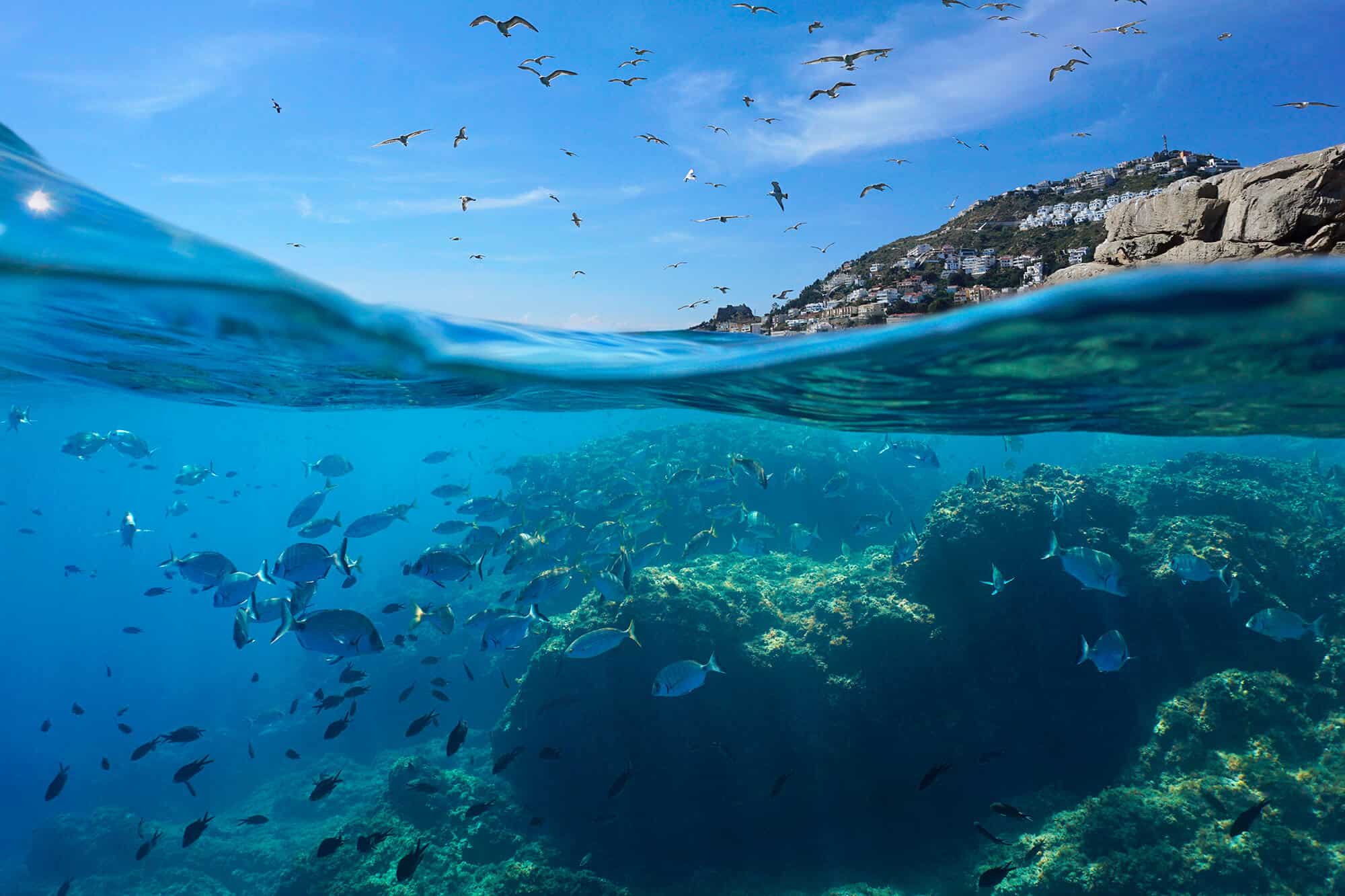 Il Dolce Far Bene - Pellicano Hotels sustainable travel philosophy