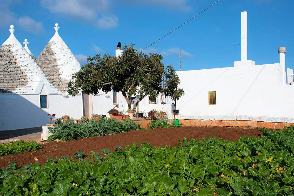 Let’s eat Puglia!