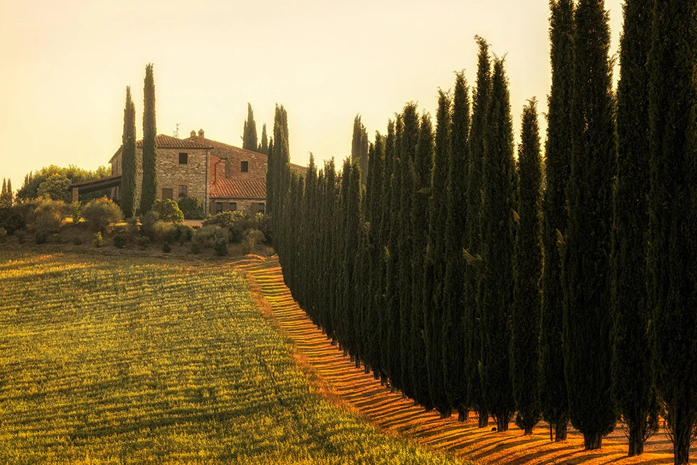 Where to Travel in Italy Right Now
