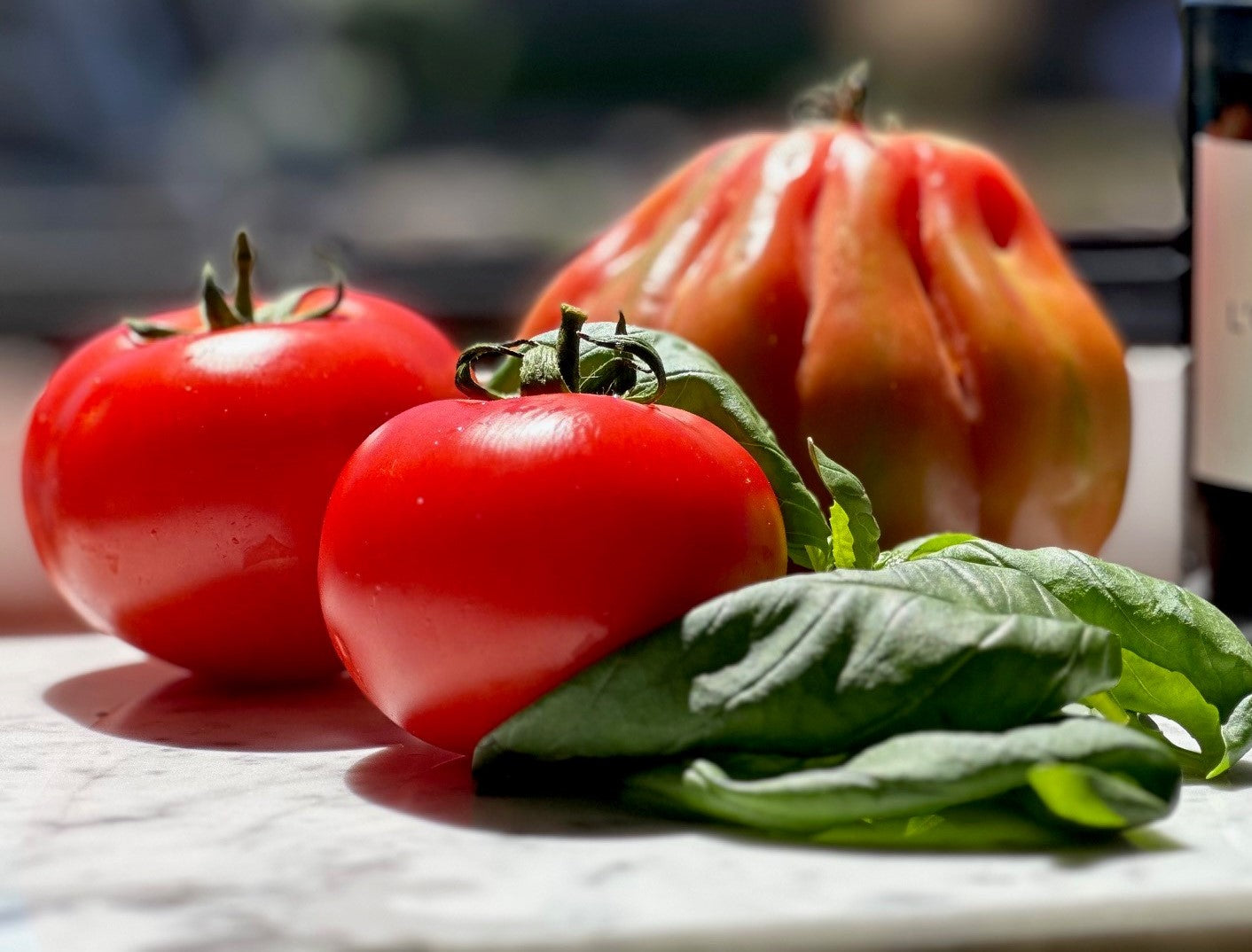 A homage to tomatoes, the king of Italian cooking