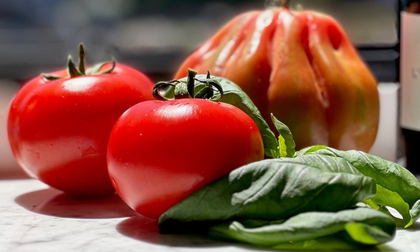 A homage to tomatoes, the king of Italian cooking