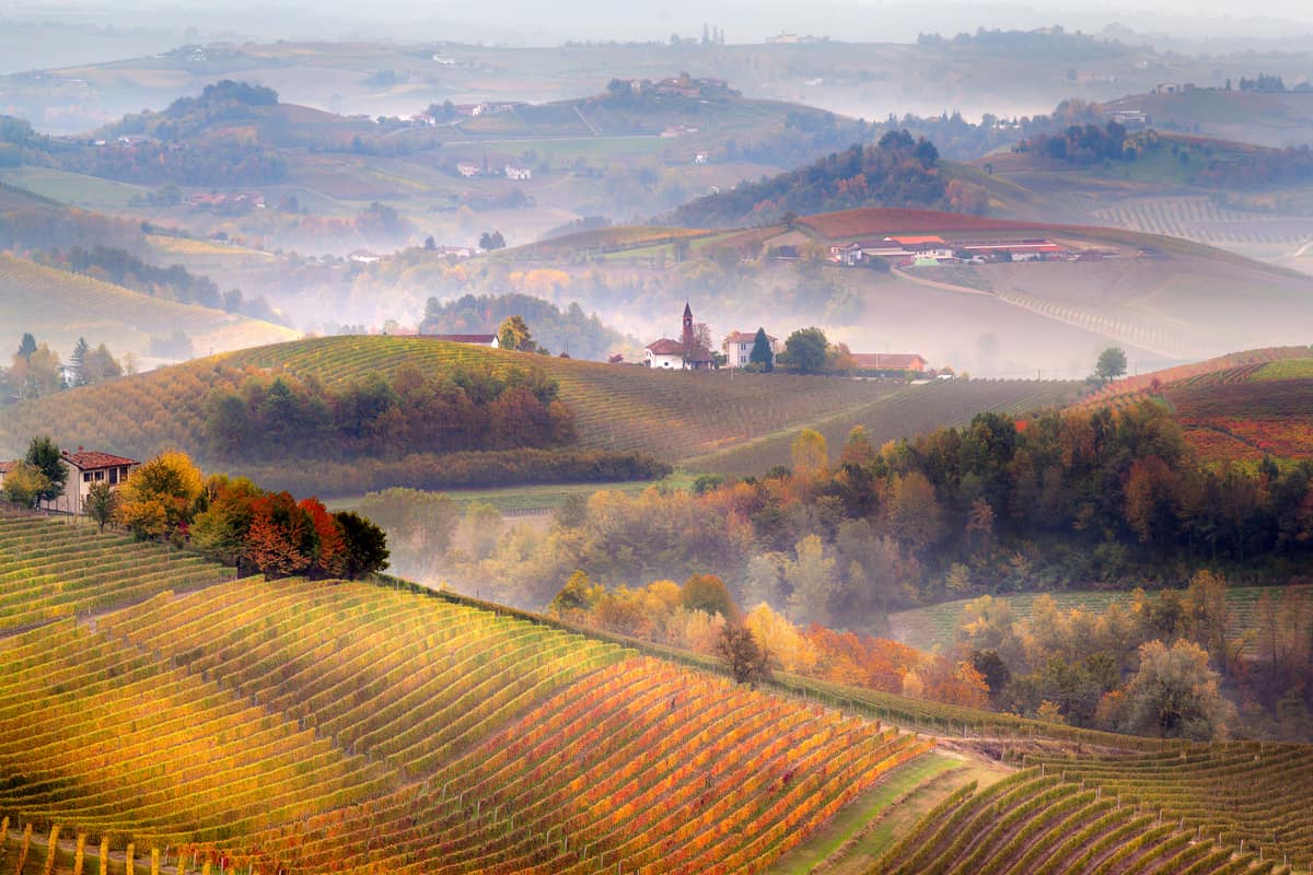 Bellini Travel’s Guide to the Langhe