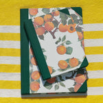 ISSIMO x Choosing Keeping Apricots Small Notebook