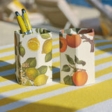 ISSIMO x Choosing Keeping Lemons Pen Pot
