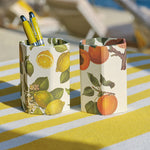 ISSIMO x Choosing Keeping Apricots Pen Pot