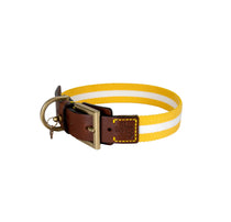 ISSIMO X Poldo Yellow Portofino Collar