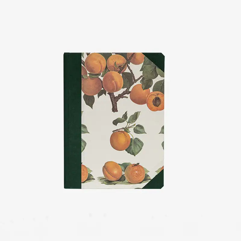 ISSIMO x Choosing Keeping Apricots Small Notebook