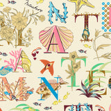 Mantero_1902 Florida Keys Foulard