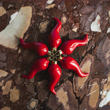 Peperoncini ISSIMO in ceramica – Set da 6