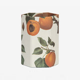 ISSIMO x Choosing Keeping Apricots Pen Pot