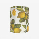 ISSIMO x Choosing Keeping Lemons Pen Pot