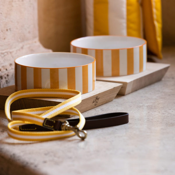 ISSIMO x Poldo yellow stripes bowl lifestyle best sellers ISSIMO