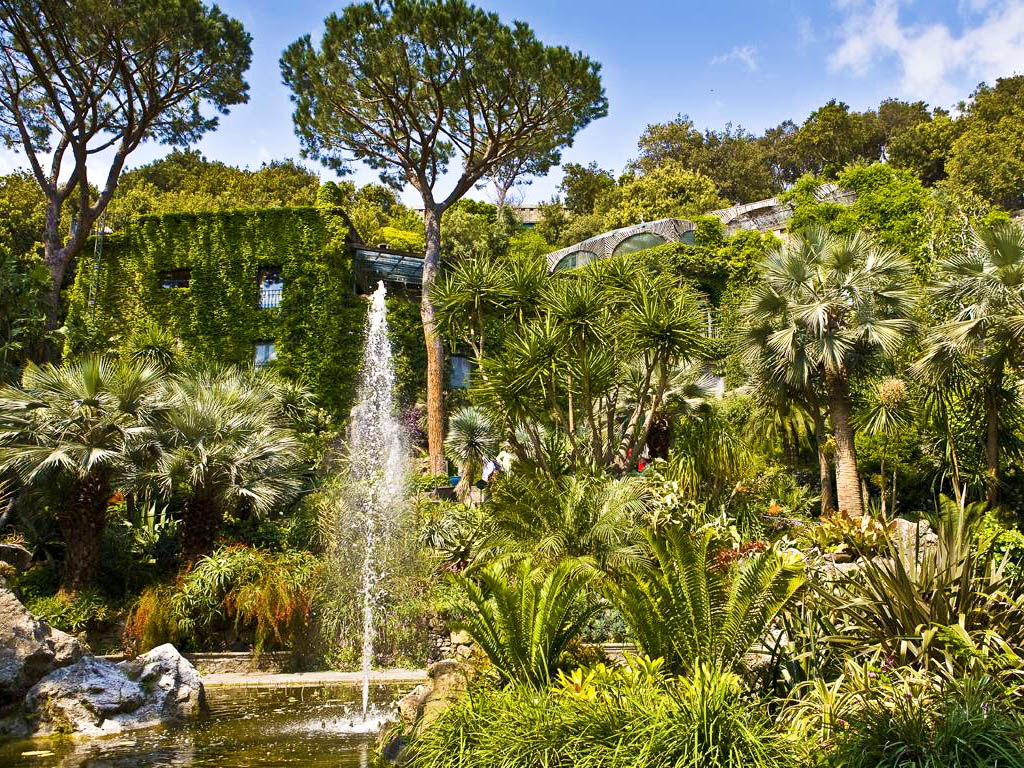 Enchanted Gardens Giardini la Mortella, Ischia