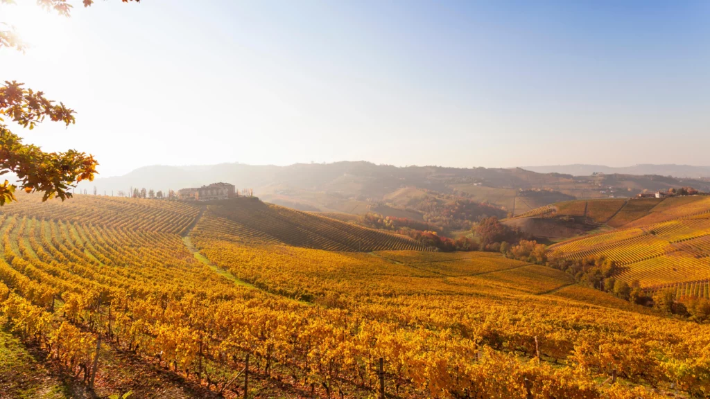 Where to travel in Italy this month, Langhe piedmont