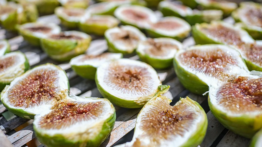 Italy’s Autumn Treasure: The Fascinating World of Figs